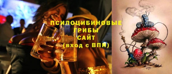 не бодяженный Корсаков