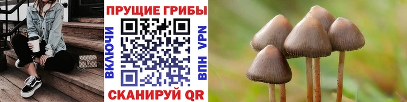 Псилоцибиновые грибы Magic Shrooms  Заречный 