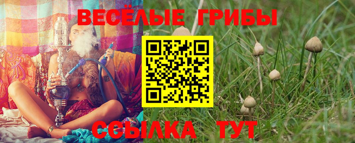Заречный  Галлюциногенные грибы мицелий  Вход с VPN 