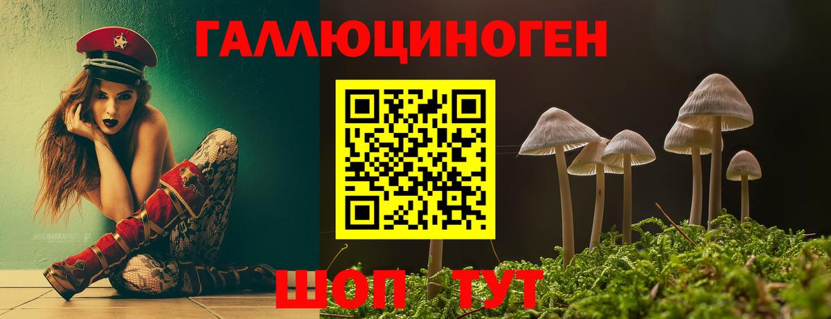 Галлюциногенные грибы Psilocybine cubensis Заречный